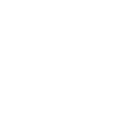 Client Ponchon Imports