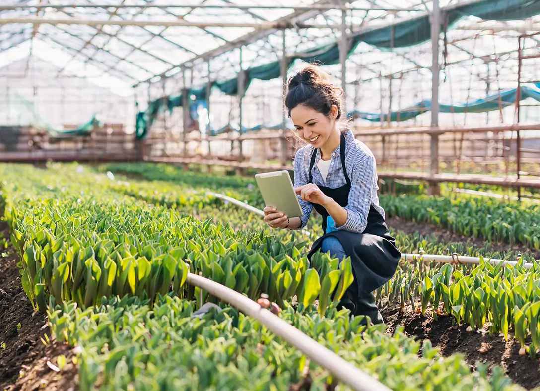 Logiciel expert horticole La graine